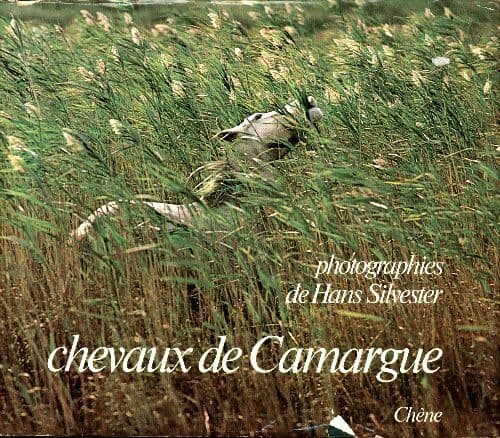 Chevaux de Camargue - Hans Silvester